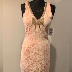 🎁NWT Free People Dress Pink & Cream Large🎁